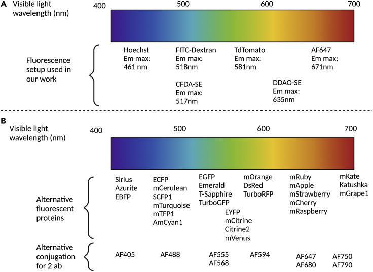 Figure 16