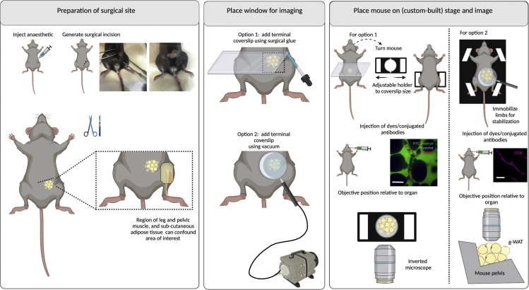 Figure 13