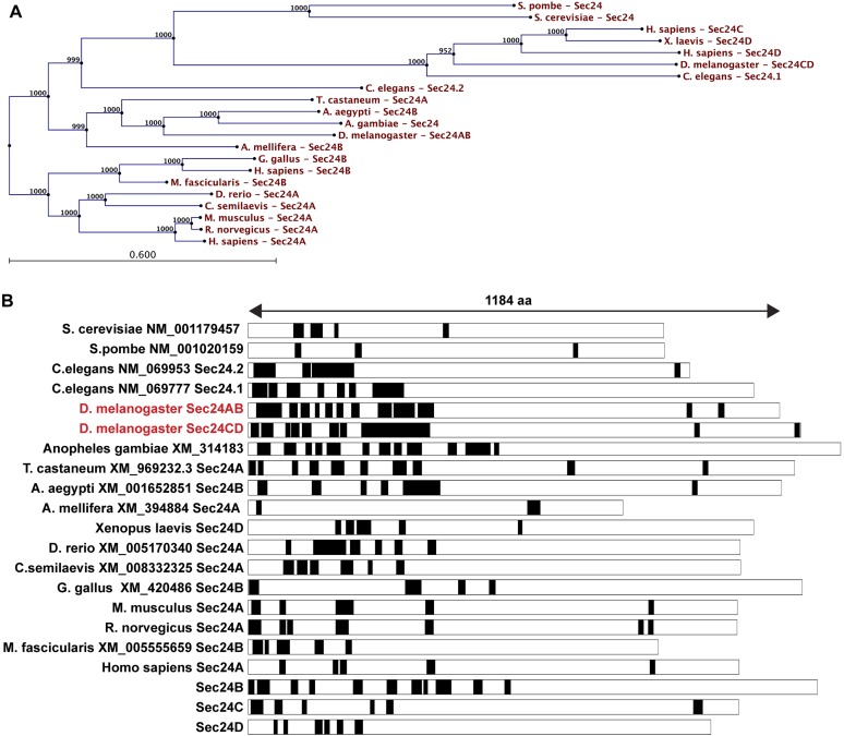 Figure 6—figure supplement 1.