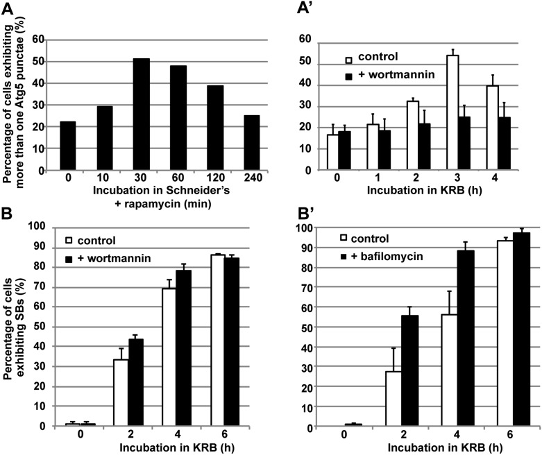 Figure 1—figure supplement 1.