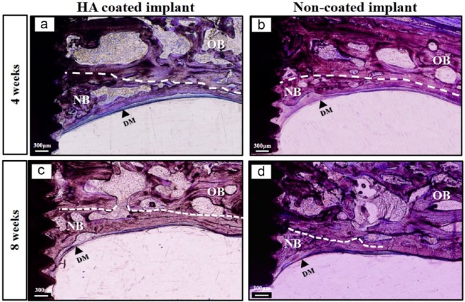 Figure 5.