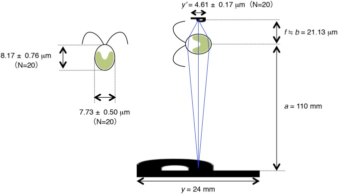 Fig. S4.