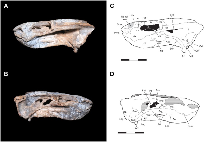 Fig 3