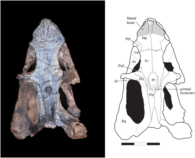 Fig 2