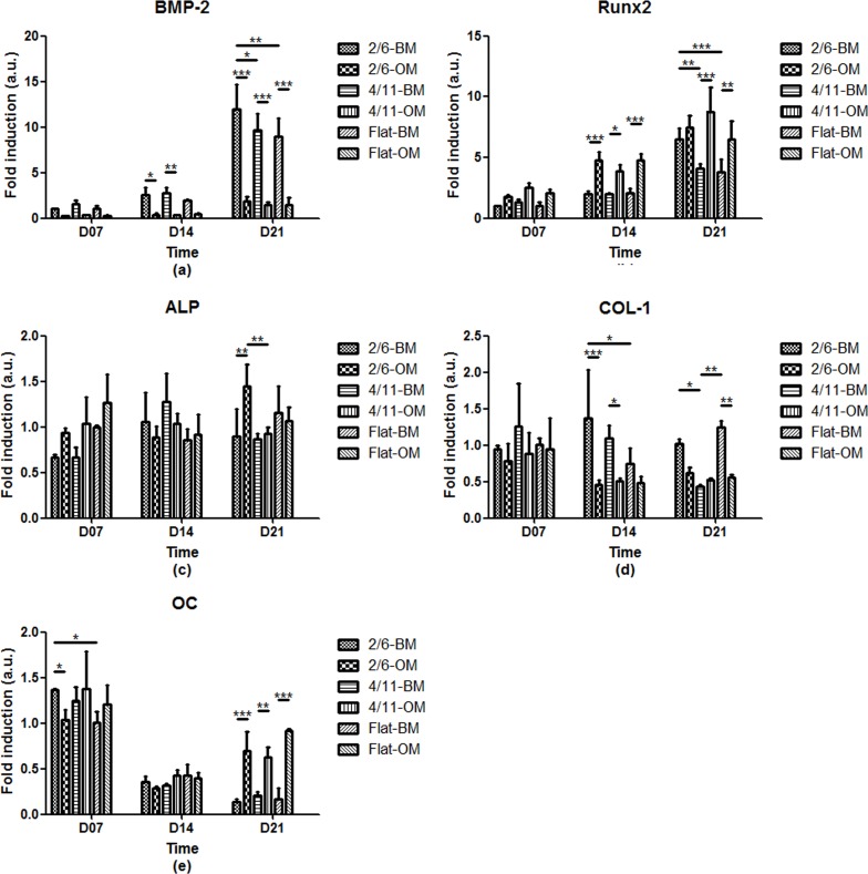 Fig 6