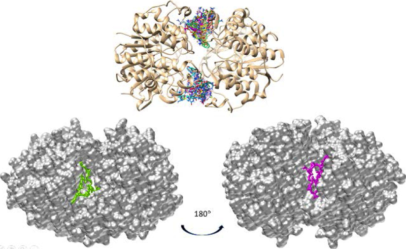 Figure 5.