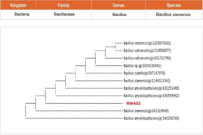 Fig. 11