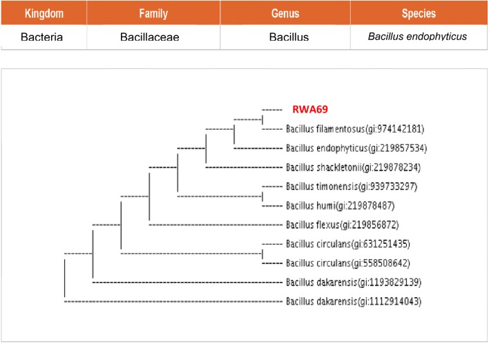 Fig. 12