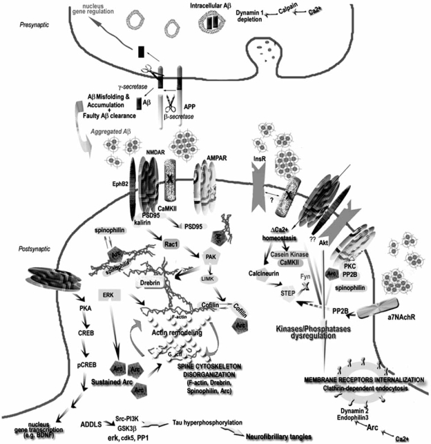 Fig. (3)