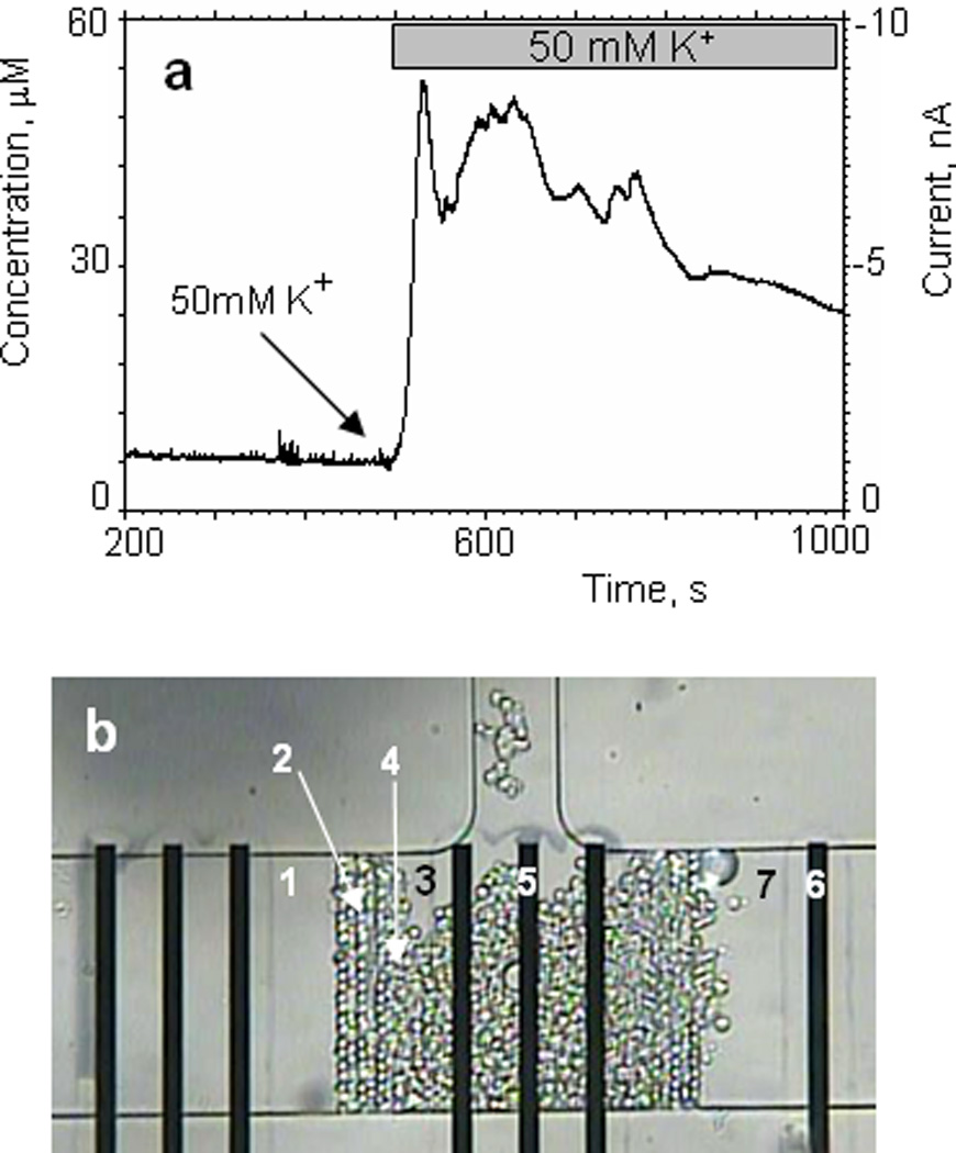 Fig.5