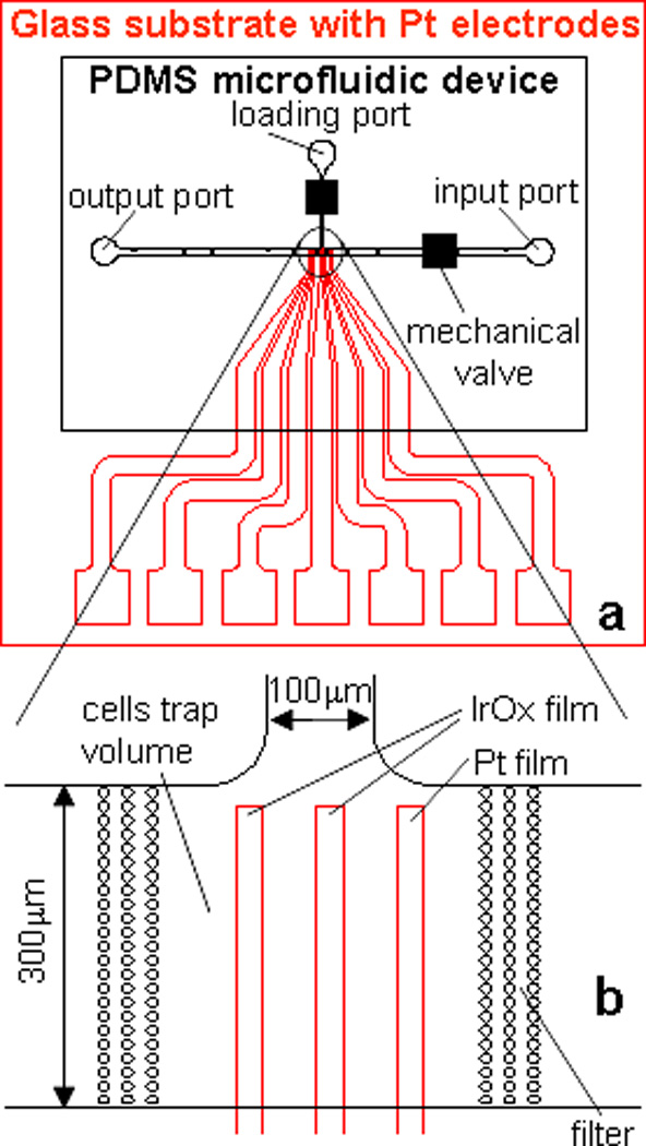 Fig.1