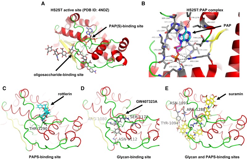 Figure 5.