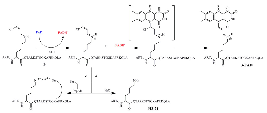 Scheme 3