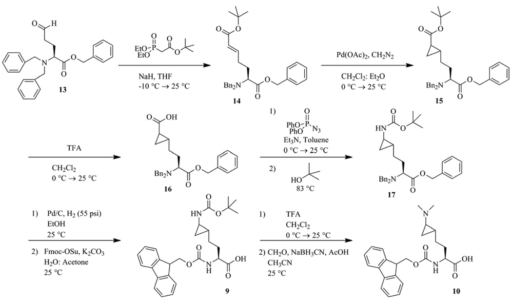 Scheme 5