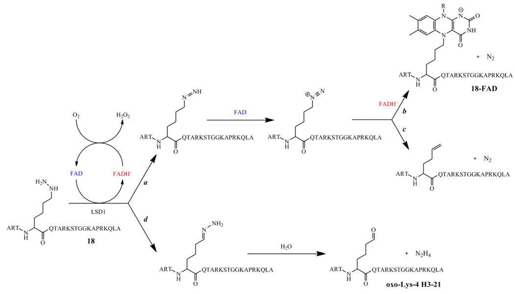 Scheme 6