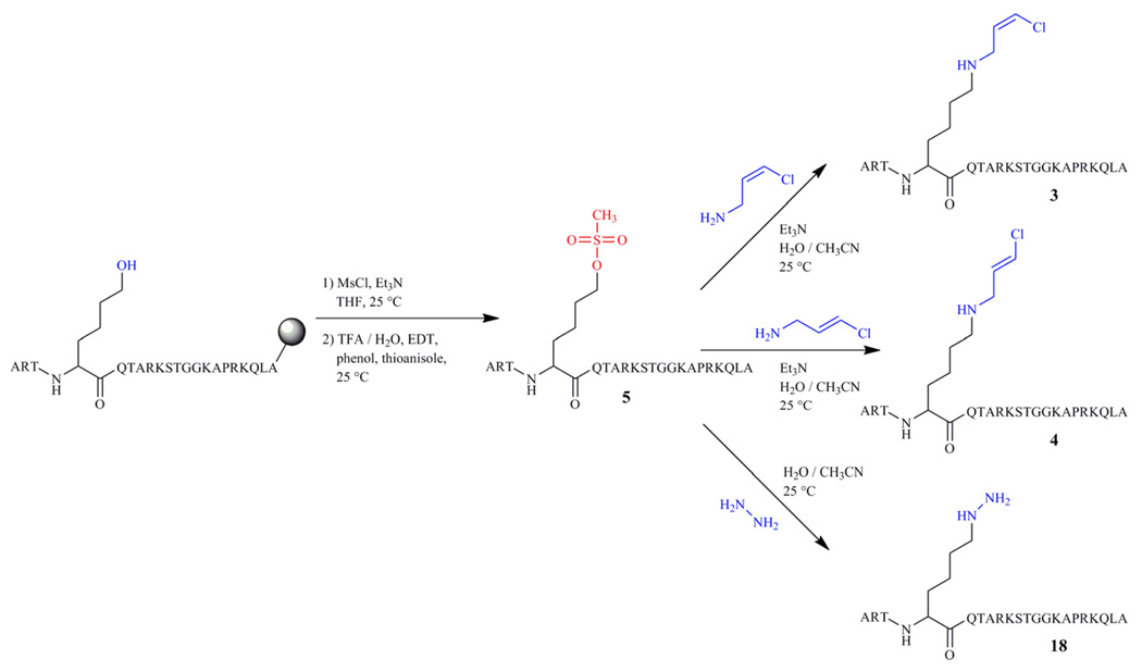 Scheme 2