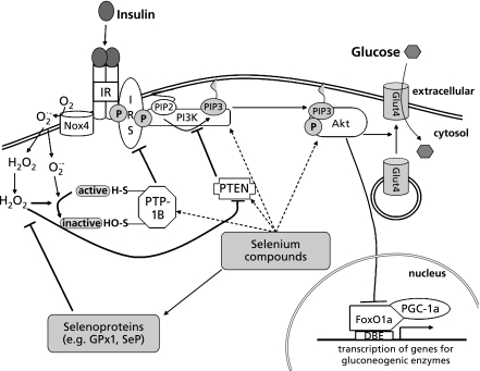 Fig. 1