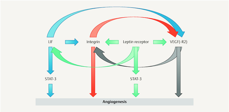 Fig. 3