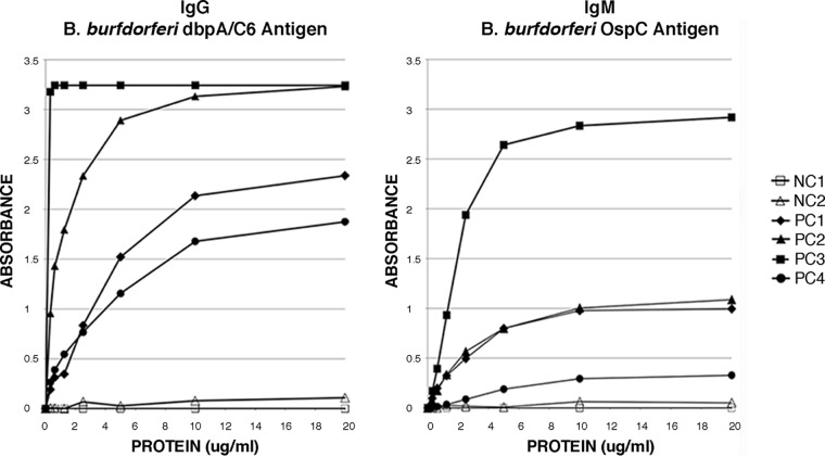 FIG 1