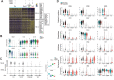Figure 4. Gene expression analysis of CD4+ T-cell clusters. A, Gene expression profiles of four CD62Llow CD4+ T-cell clusters. The heatmap shows DEGs among the Th1, Th1/17, CCR6 SP, and Th17 clusters using the integrated data from 6 patients; further details are presented in Supplementary Table S6. B, Gene expression of representative genes. C, Gene expression of TBX-21 and RORC was observed pre (−) and post (+) stimulation with anti-CD3/CD28 antibody-coated beads. Differences in methylation status are also shown by boxplot, which represents scaled β-values of all DMPs of these genes. Details of these DMPs were summarized in Supplementary Table S7. D, DEGs of prestimulation (blue) and poststimulation (red) with anti-CD3/CD28 antibody-coated beads of each Th cluster cells that belonged to multicellular clonotypes.