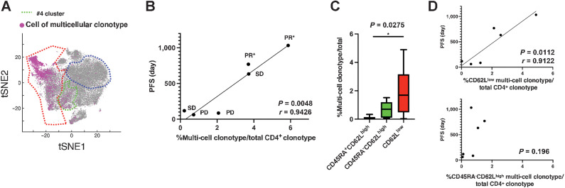 Figure 2. Multicellular CD4+ T-cell clonotypes associated with PD-1 blockade therapy efficacy. A, On the basis of the results of TCR repertoire analysis using scRNA-seq, cells belonging to TCR clonotypes with two or more cells detected were mapped on the same tSNE plots as in Fig. 1A–C. B, Correlation between the percentage of TCR clonotypes with ≥2 cells detected against all clonotypes and the PFS of patients with lung cancer after initial pembrolizumab treatment. PR, SD, and PD were determined by RECIST ver1.1; * indicates continued response. C, Percentages of TCR clonotypes that contain ≥2 cells belonging to the CD45RA+CD62Lhigh, CD45RA−CD62Lhigh, and CD62Llow T-cell subpopulations. D, Correlation analysis between the percentage of multicellular clonotypes and PFS following pembrolizumab treatment.