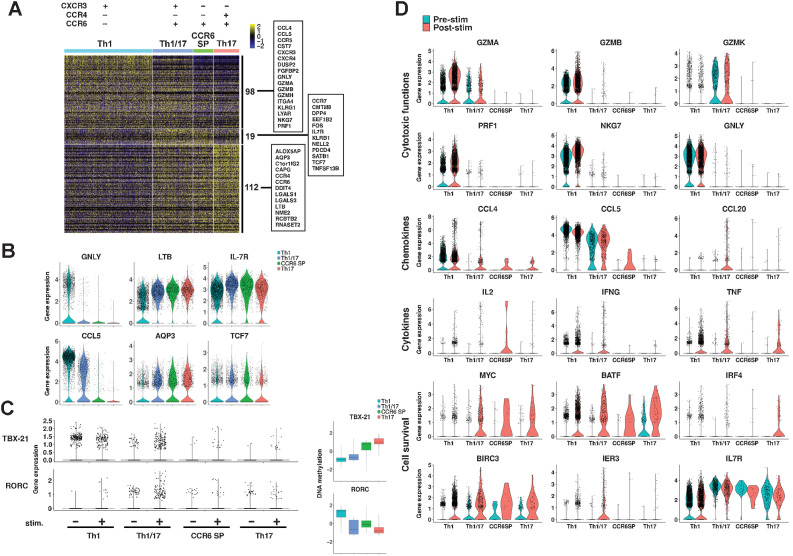 Figure 4. Gene expression analysis of CD4+ T-cell clusters. A, Gene expression profiles of four CD62Llow CD4+ T-cell clusters. The heatmap shows DEGs among the Th1, Th1/17, CCR6 SP, and Th17 clusters using the integrated data from 6 patients; further details are presented in Supplementary Table S6. B, Gene expression of representative genes. C, Gene expression of TBX-21 and RORC was observed pre (−) and post (+) stimulation with anti-CD3/CD28 antibody-coated beads. Differences in methylation status are also shown by boxplot, which represents scaled β-values of all DMPs of these genes. Details of these DMPs were summarized in Supplementary Table S7. D, DEGs of prestimulation (blue) and poststimulation (red) with anti-CD3/CD28 antibody-coated beads of each Th cluster cells that belonged to multicellular clonotypes.