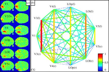 Figure 19