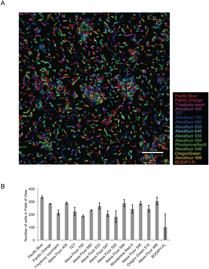 Fig 4