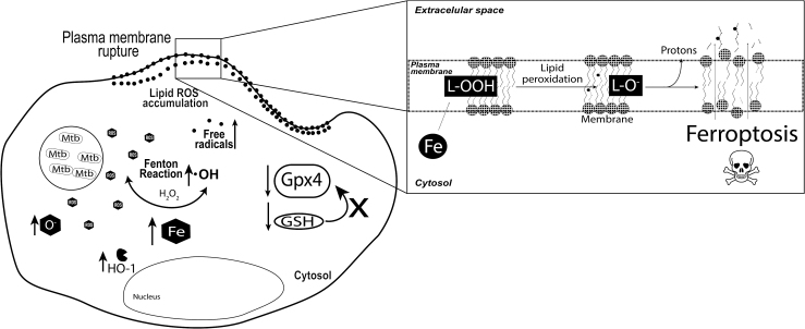 FIG. 3.