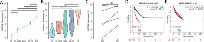 Fig. 10