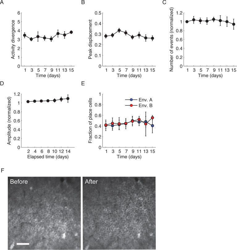 Figure 1—figure supplement 3.