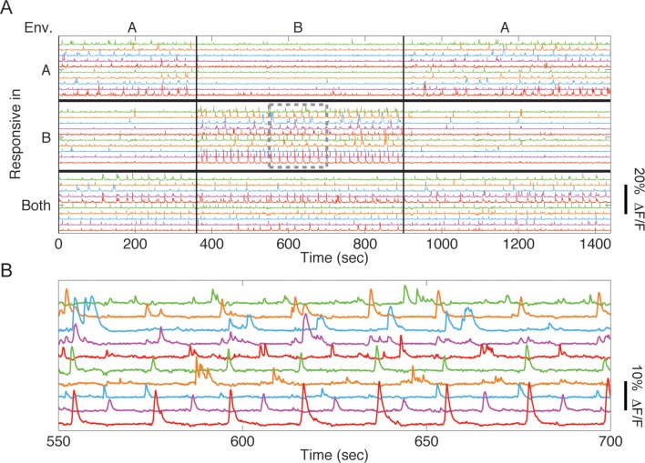 Figure 1—figure supplement 1.