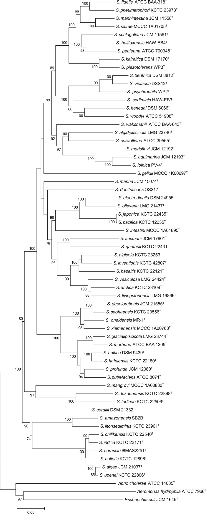 FIG 1