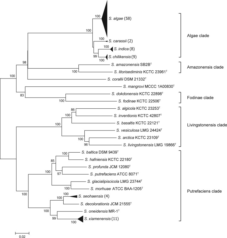 FIG 4