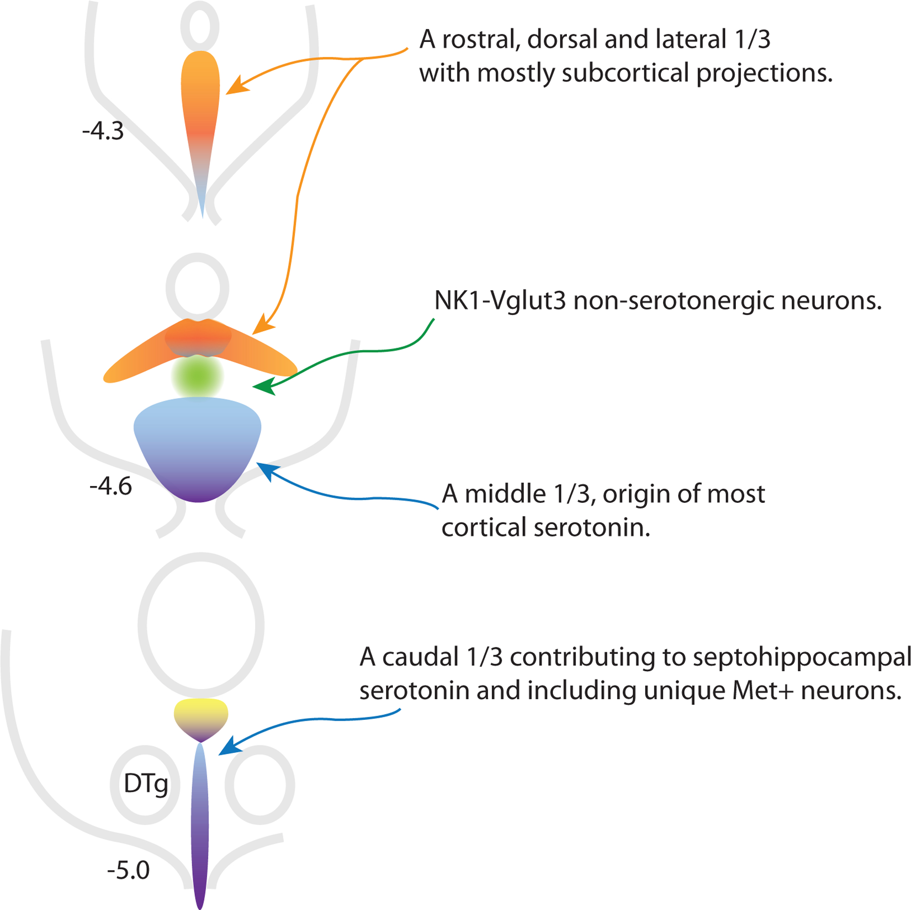 Figure 1: