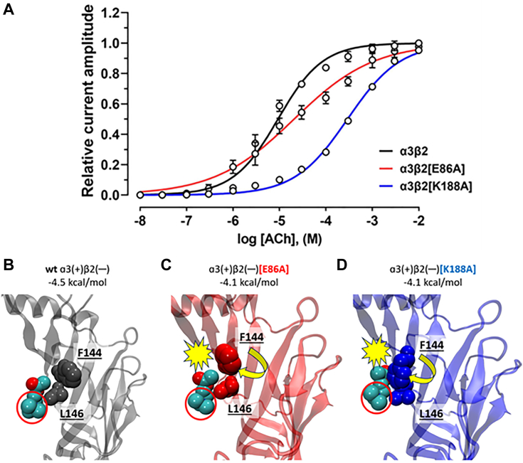 Figure 4