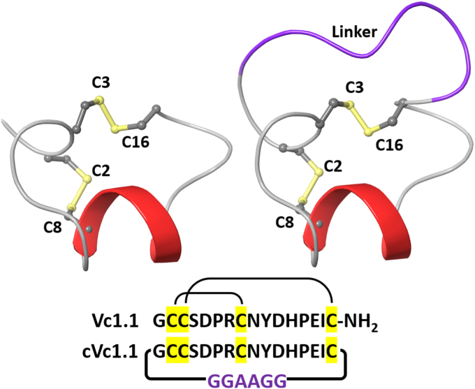 Figure 1
