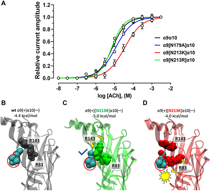 Figure 5