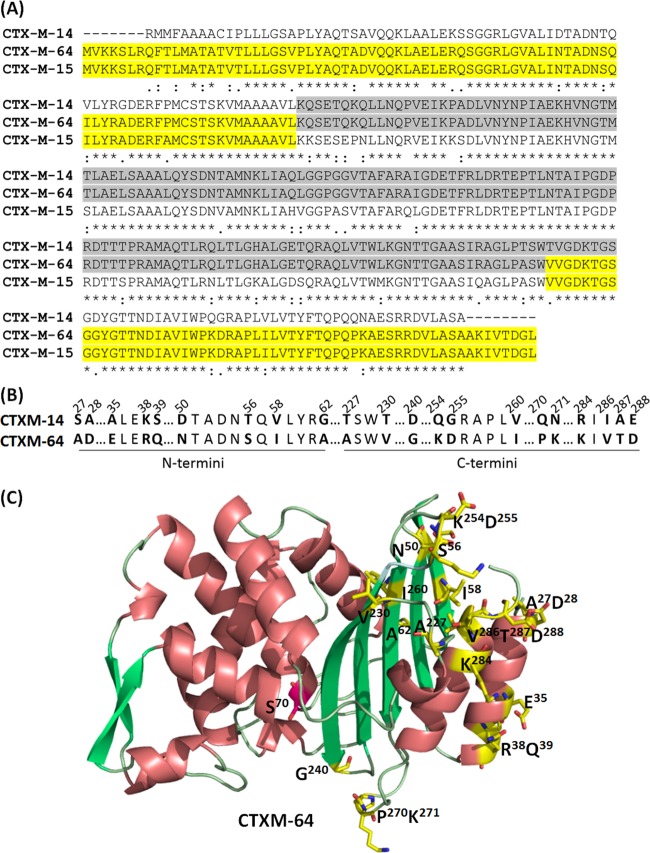 FIG 1