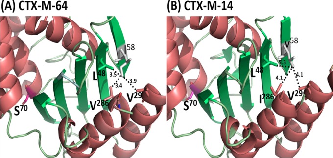 FIG 3