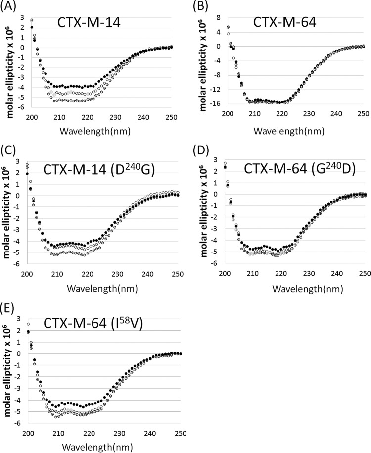 FIG 2