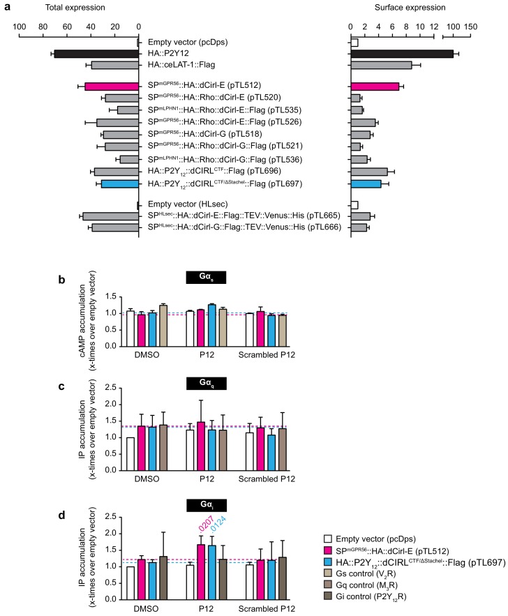 Figure 7—figure supplement 2.