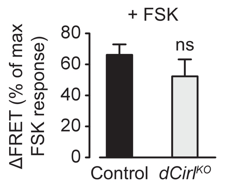 Figure 7—figure supplement 1.