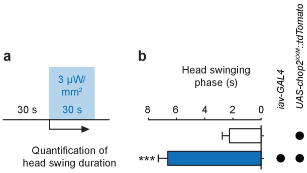 Figure 2—figure supplement 2.