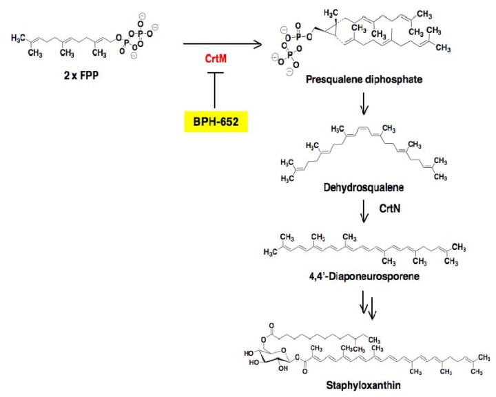 Figure 12