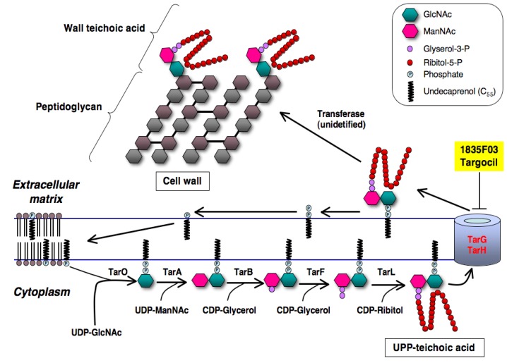 Figure 10