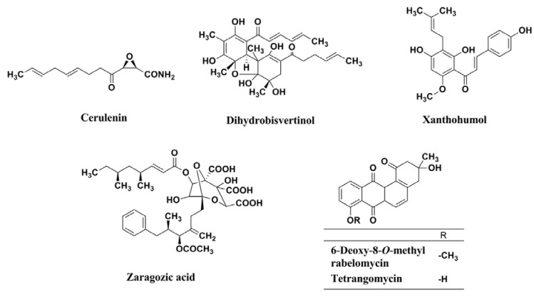 Figure 14