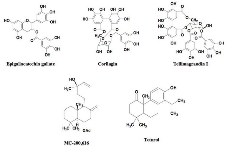 Figure 5