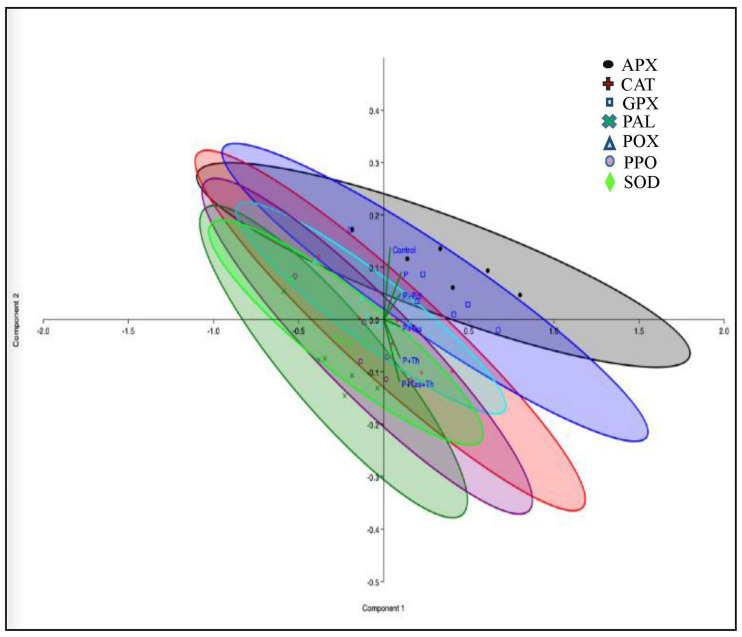 Figure 16