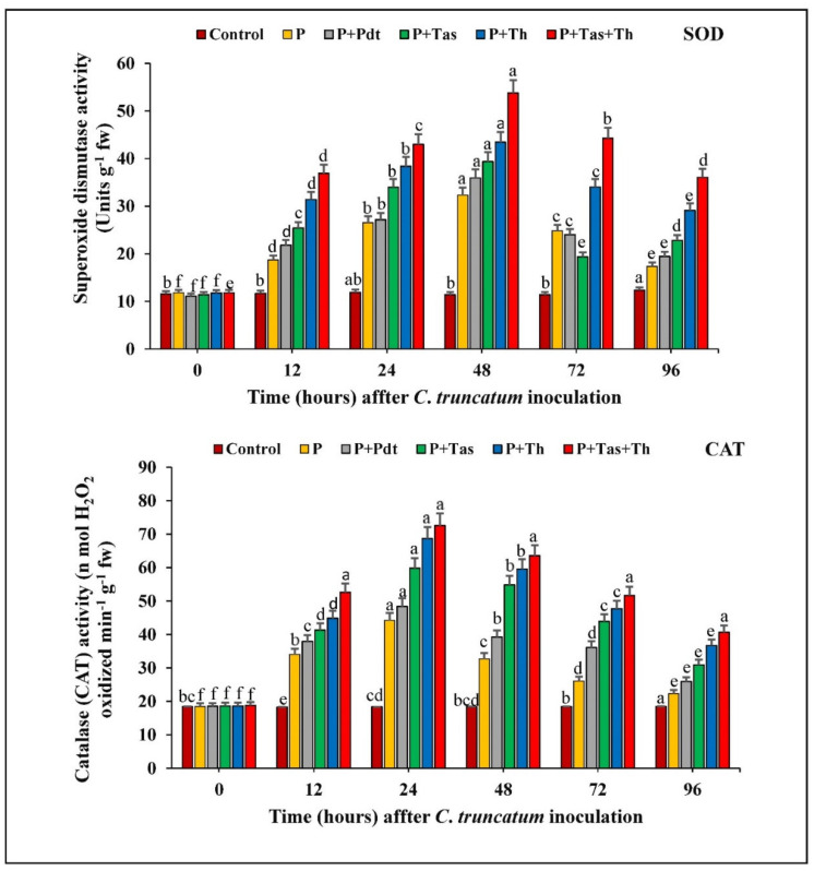 Figure 12